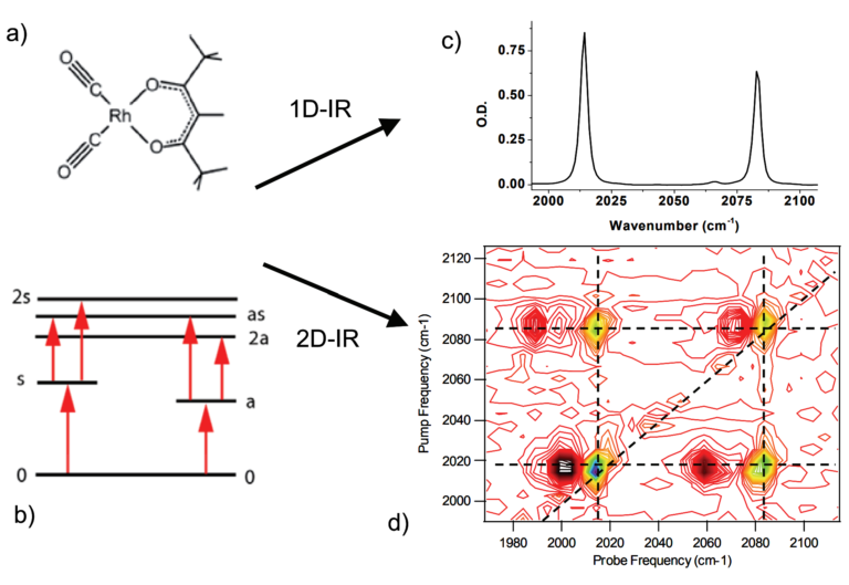 a) and c) Structure and FTIR spectrum of the Rhodium dicarbonyl (RDC) coordination compound showing two absorption peaks originating from the CO ligand stretching vibrational modes. b) and d) Energy level diagram and 2D-IR spectrum of the same sample showing the interaction (coupling) of the modes, here shown as color-contoured peaks. Peaks along the diagonal are equivalent to those observed in linear absorption experiments, as expected when the two wavelengths are equal