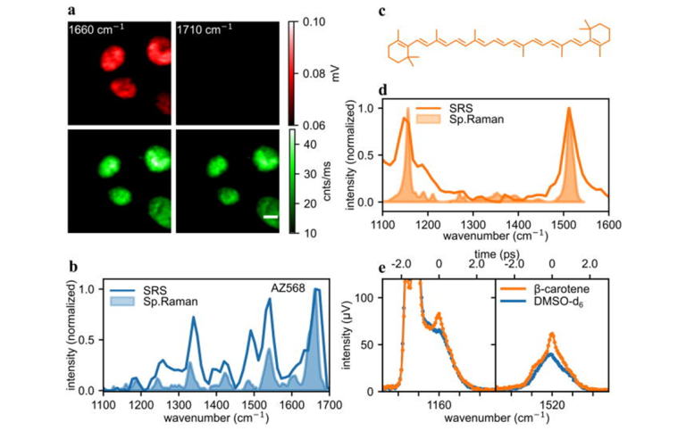 SRS microscopy with CRONUS-2P