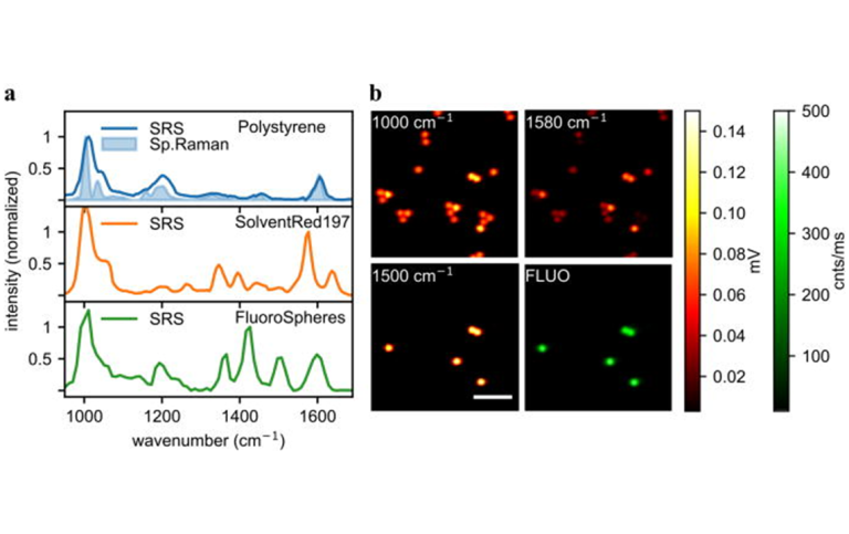 SRS microscopy with CRONUS-2P