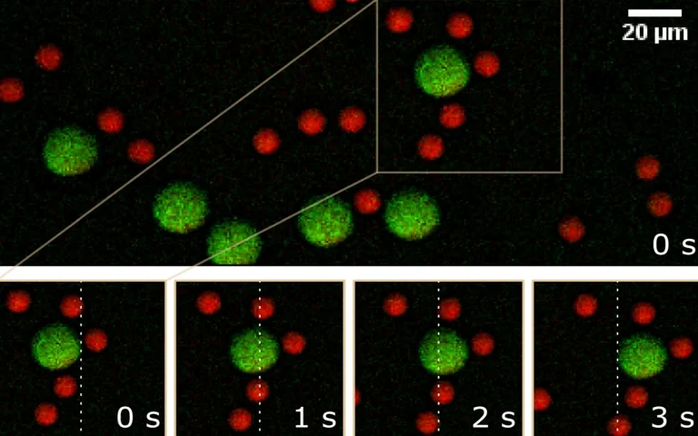 CARS images of flowing PS and PMMA beads, acquired using CRONUS-2P. The bottom images show a time course of a selected area as indicated with 1 s intervals to exemplify the flow. The white dashed line is for motion reference.