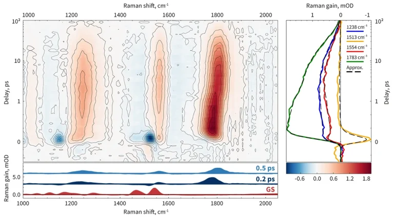 FSRS dynamics of neoxanthin using Harpia-TA with Harpia-TB module.