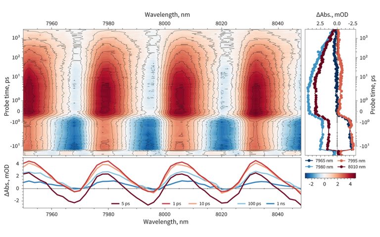 Pump-probe dynamics of GaAs wafer in IR measured using signal and reference single-channel detectors.