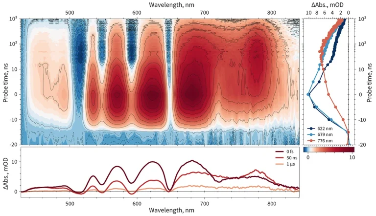 Nanosecond spectral dynamics of meso‑Tetraphenylporphine in solution acquired using HARPIA in flash photolysis mode