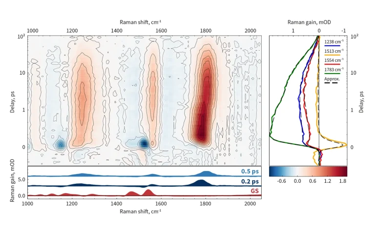 FSRS dynamics of neoxanthin using HARPIA-TA with HARPIA-TB module.