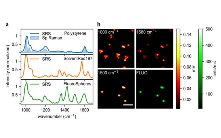 (a) Spontaneous Raman and SRS spectra of polymeric materials, normalized with the molecule of interest maximum peak. (b) SRS images of dyed and un-dyed PS beads. Images were recorded using CRONUS-2P.