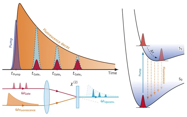 Principle of time-resolved fluorescence upconversion