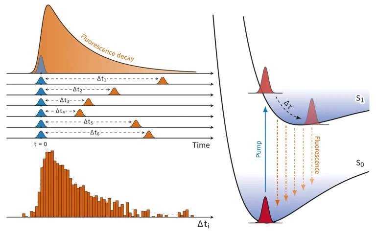 Principle of time-correlated single-photon counting (TCSPC)