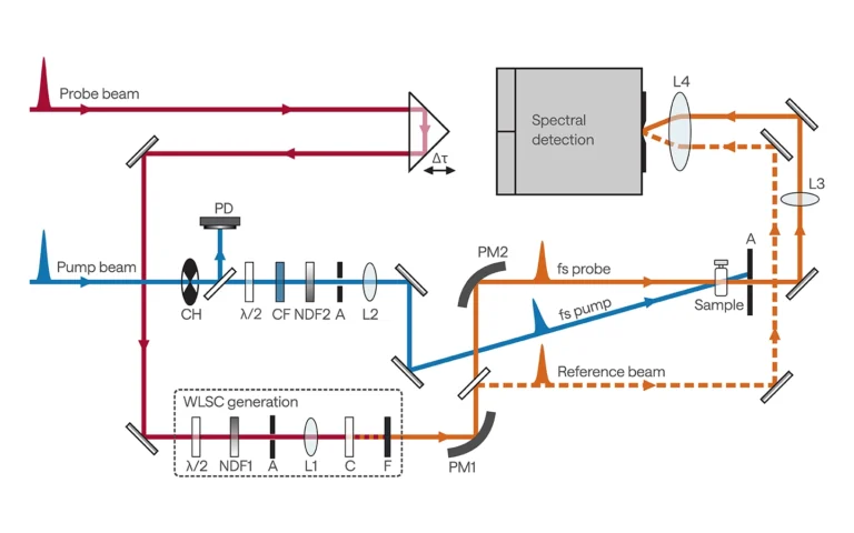 HARPIA optical layout for pump-probe experiments