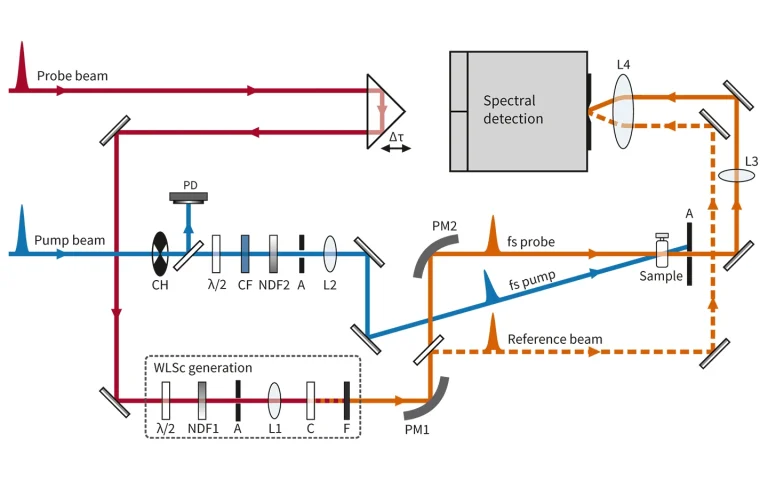 HARPIA optical layout for pump-probe experiments