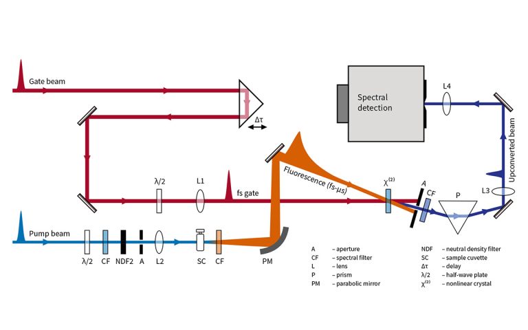 HARPIA optical layout for fluorescence upconversion measurements