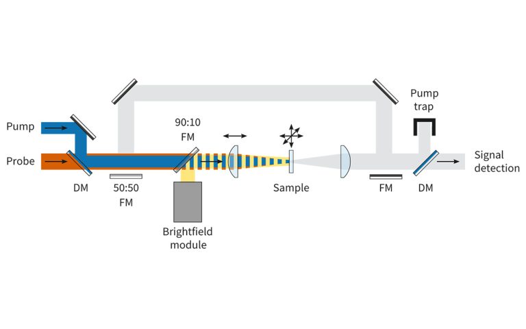 Optical scheme for brightfield mode of HARPIA-MM